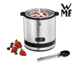 WMF Eismaschine 