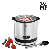 WMF Eismaschine